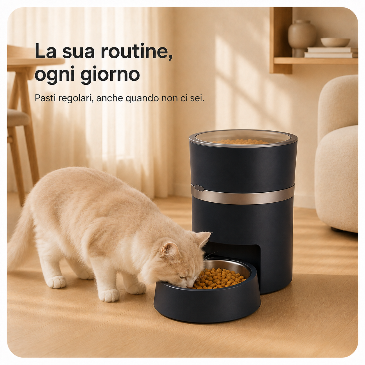 NourishOne