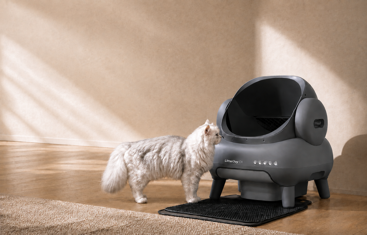 LitterJoy O1, lettiera automatica aperta con un gatto