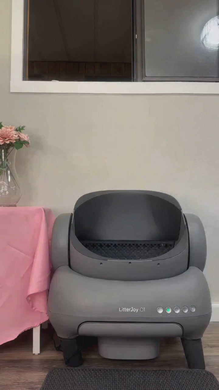 Esperienza video con LitterJoy O1