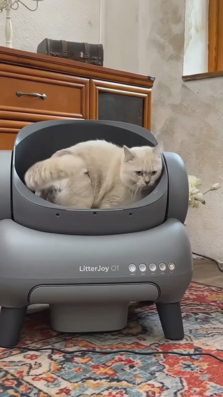 Esperienza video con LitterJoy O1